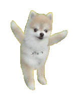 Created by Yamasan