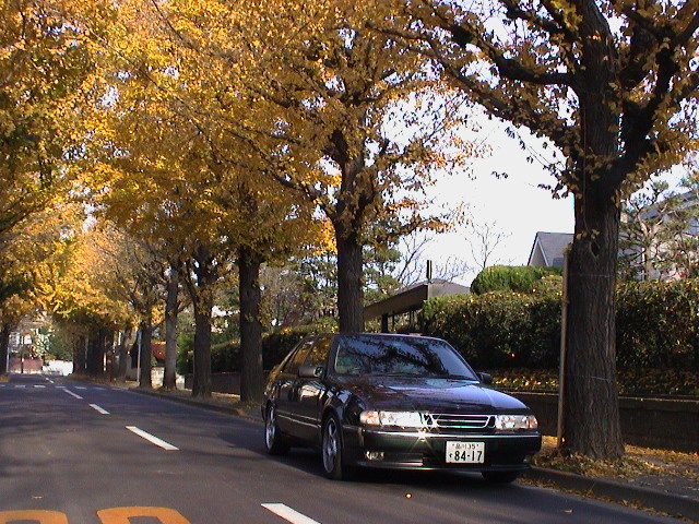 9000CDE in autumn